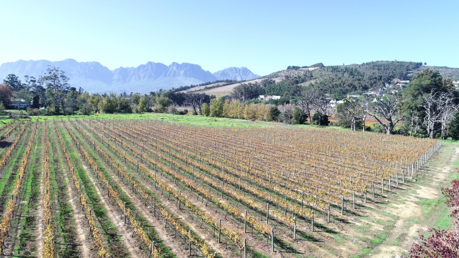 5 Bedroom Property for Sale in Stellenbosch Farms Western Cape